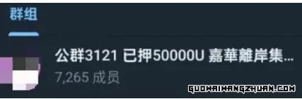 28133830138