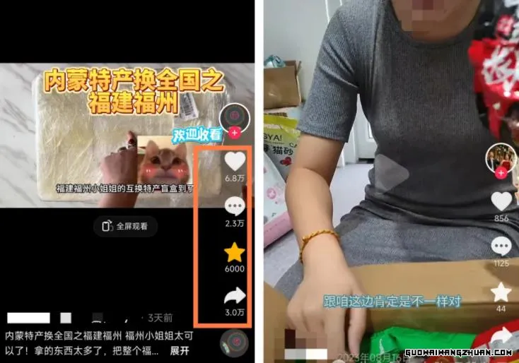 29095004676